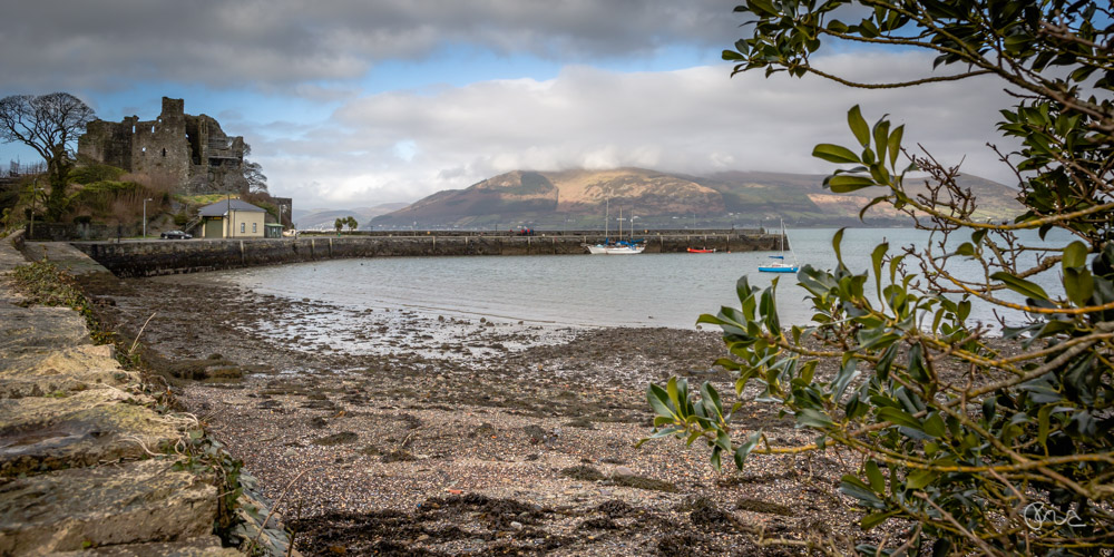 Keywords: Carlingford Village, Ireland