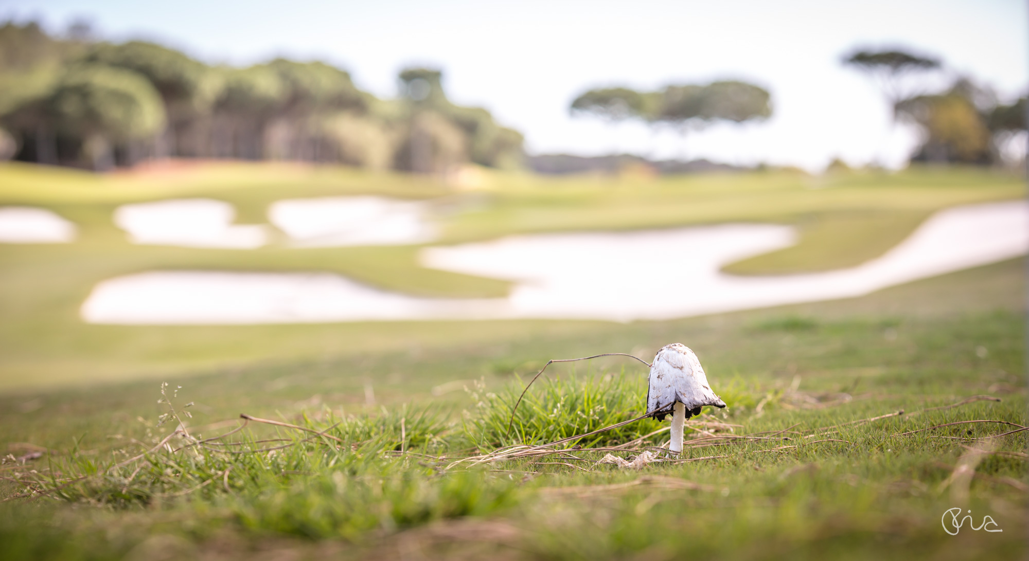 Quinta do Lago Laranjal Golf Course