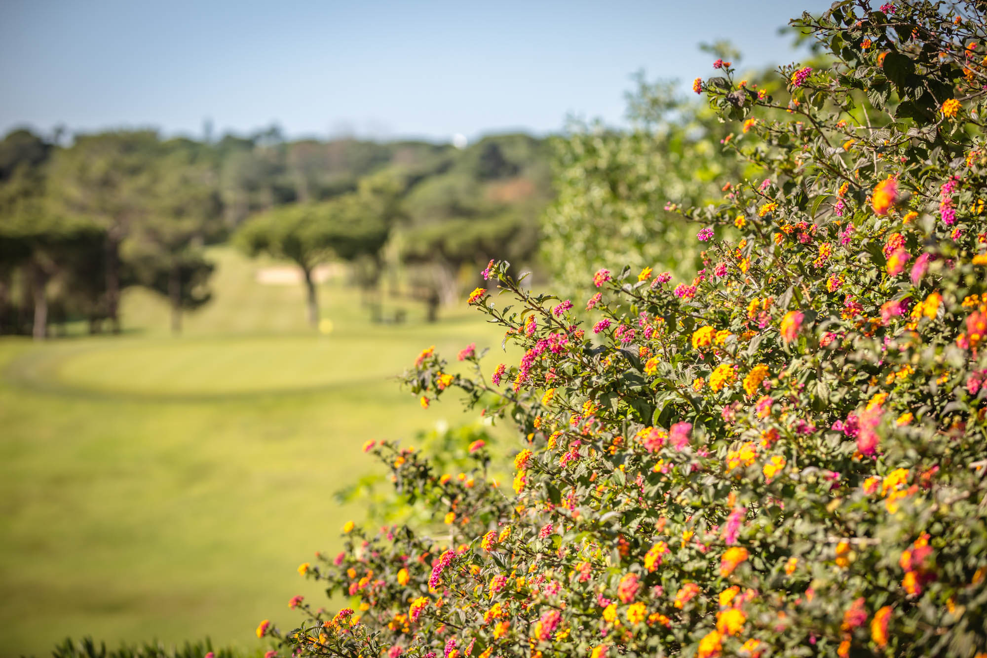 Quinta do Lago Portugal