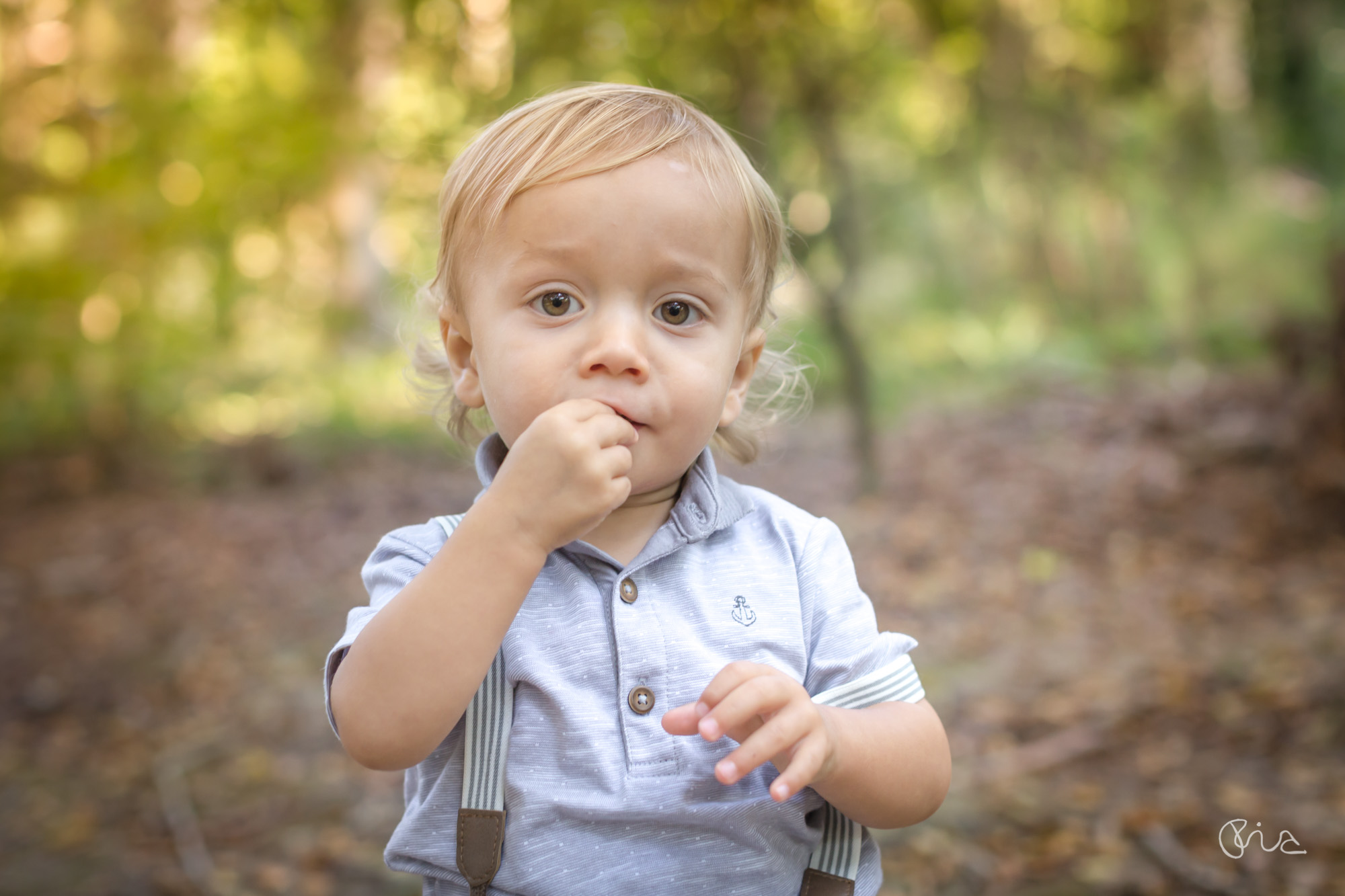 Family shoot in the woods