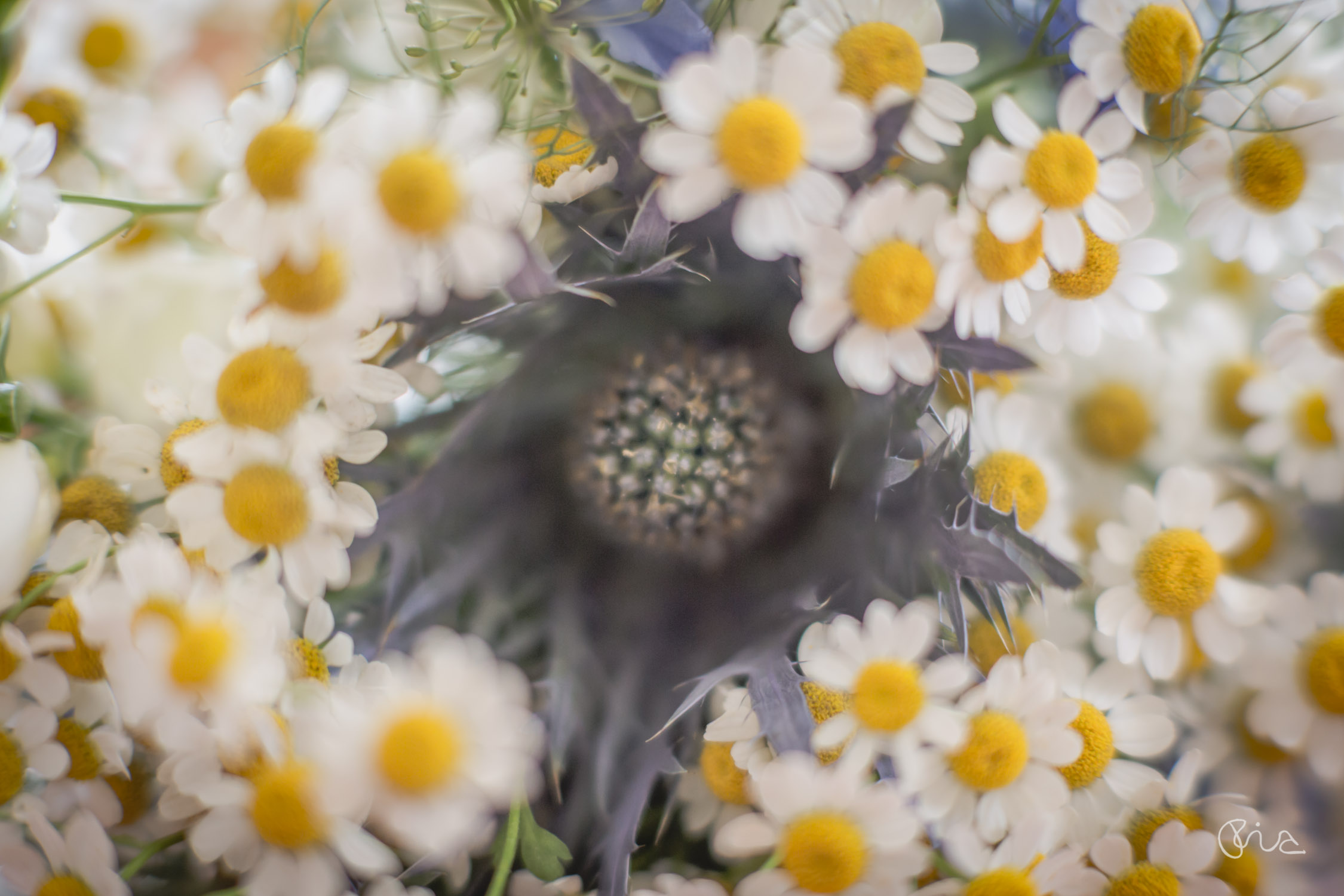 Wedding bouquet