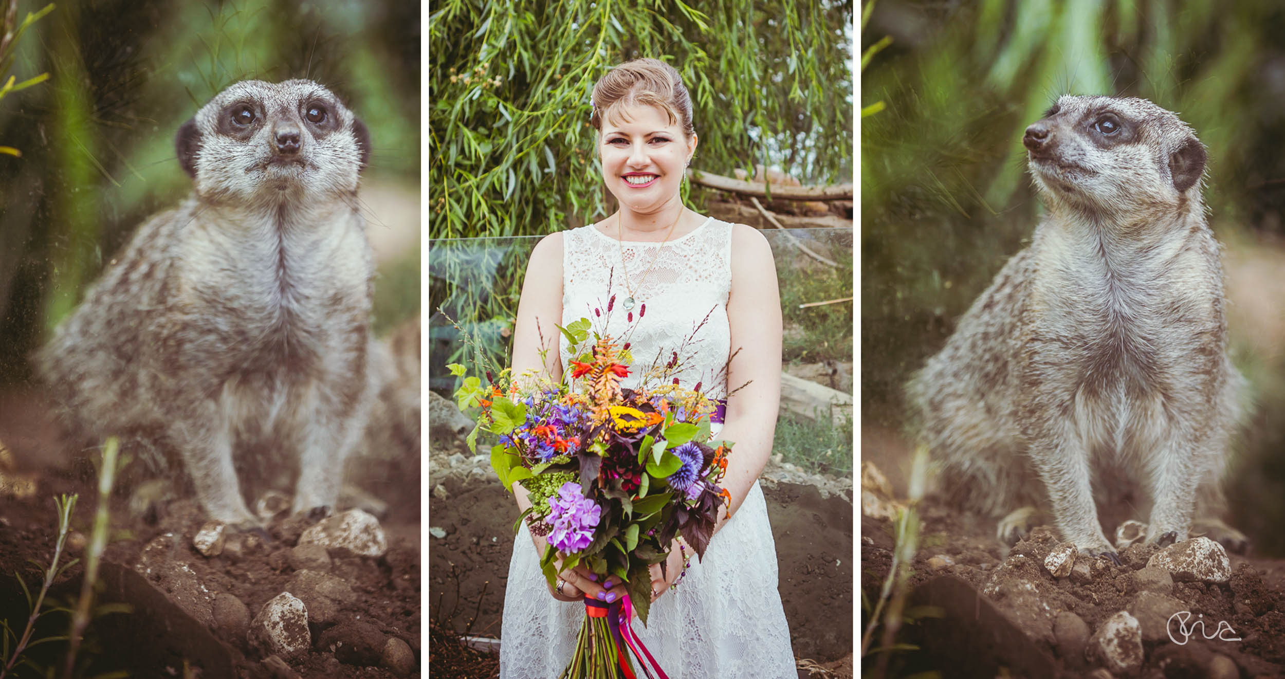 Bride at Fawley Hill wedding