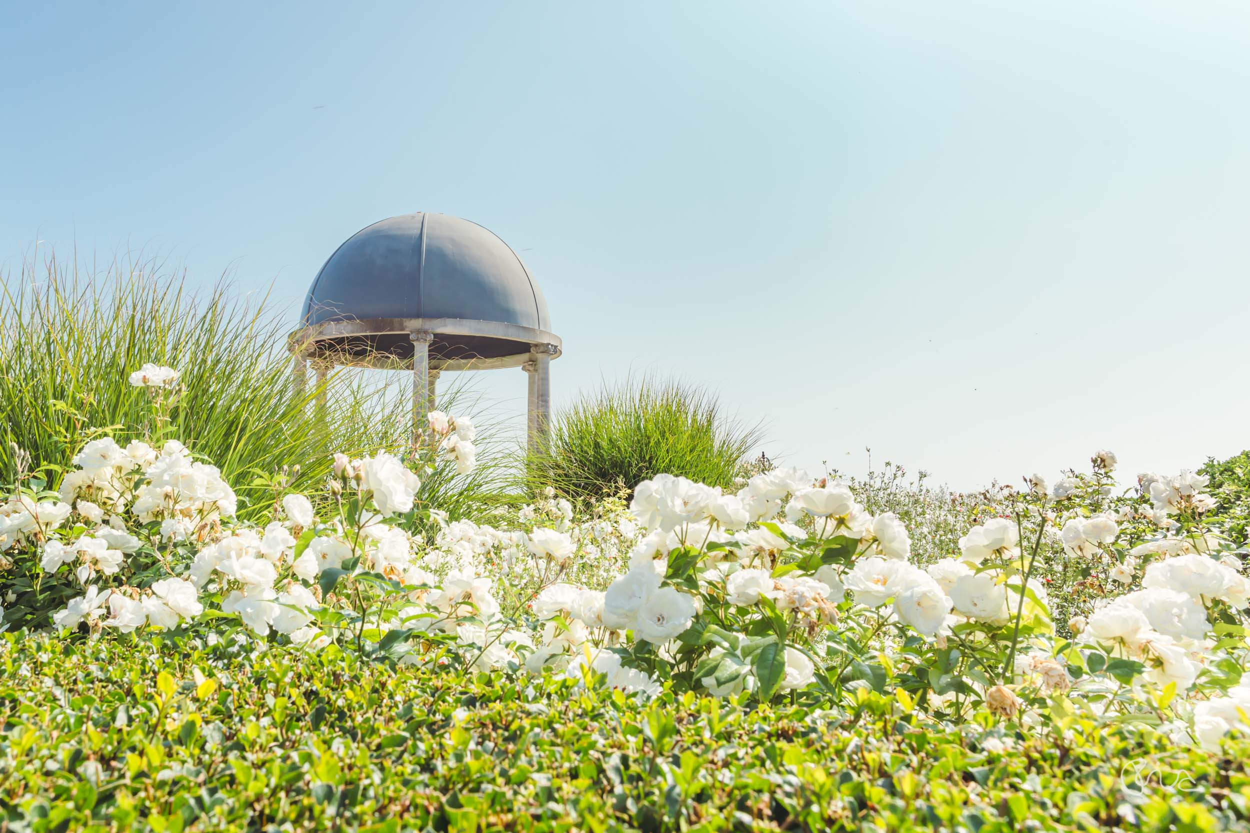 Hydro Hotel Eastbourne wedding venue