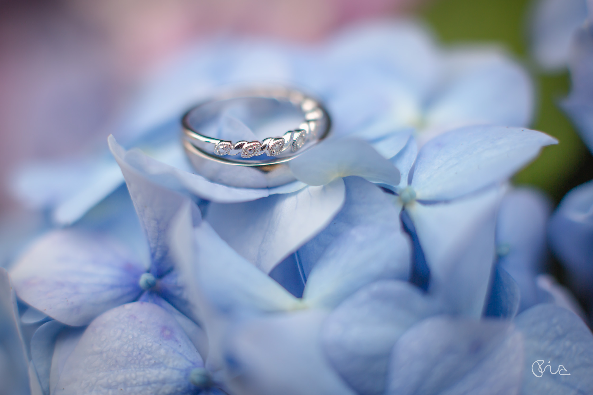 Wedding rings at Bannatyne Spa Hotel Wedding