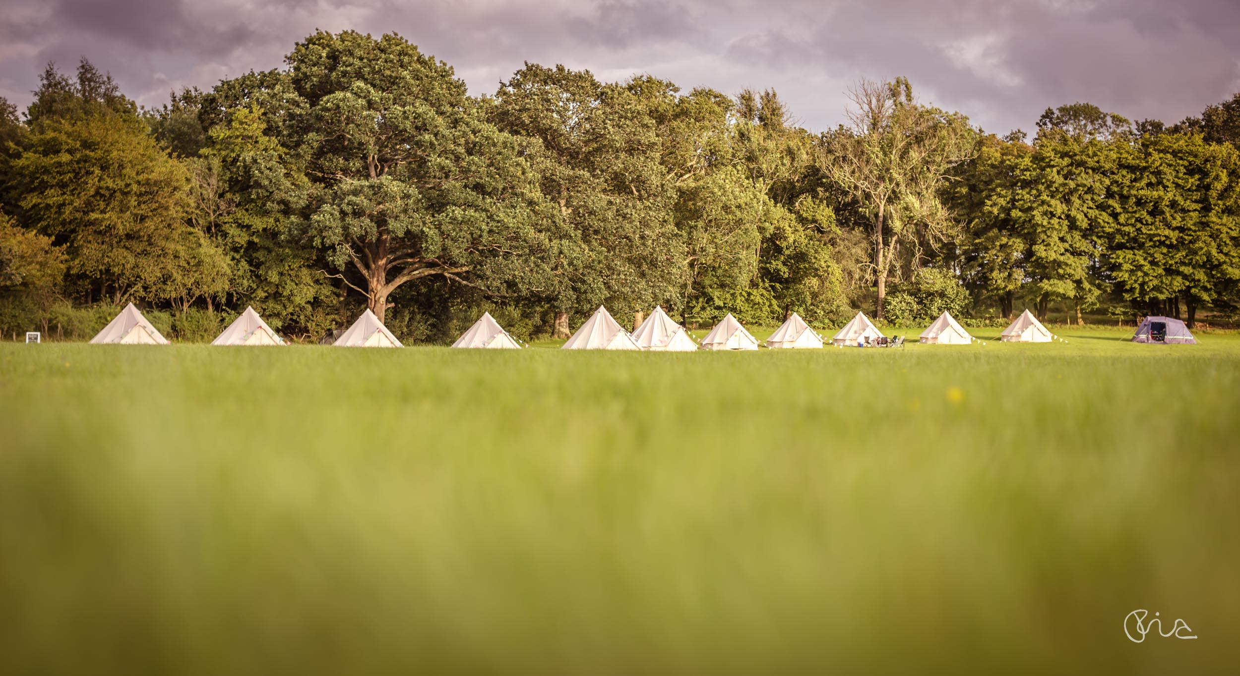 Festival wedding in Sussex