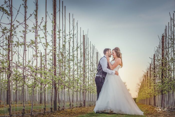 The Barnyard wedding in Kent