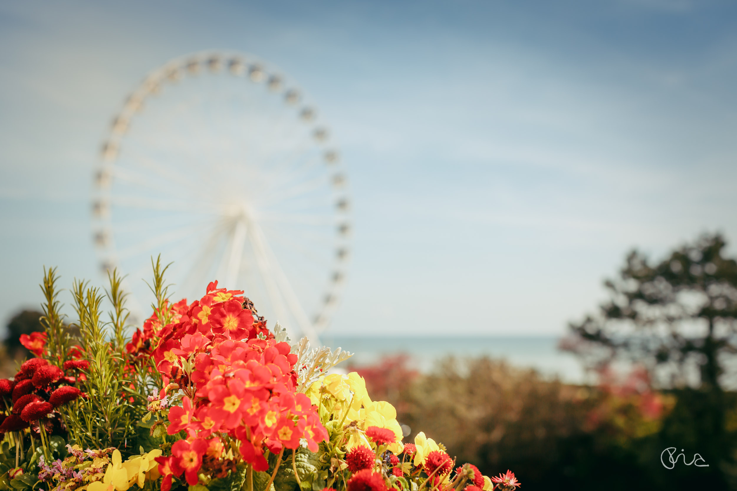 View from Grand Hotel Eastbourne wedding venue