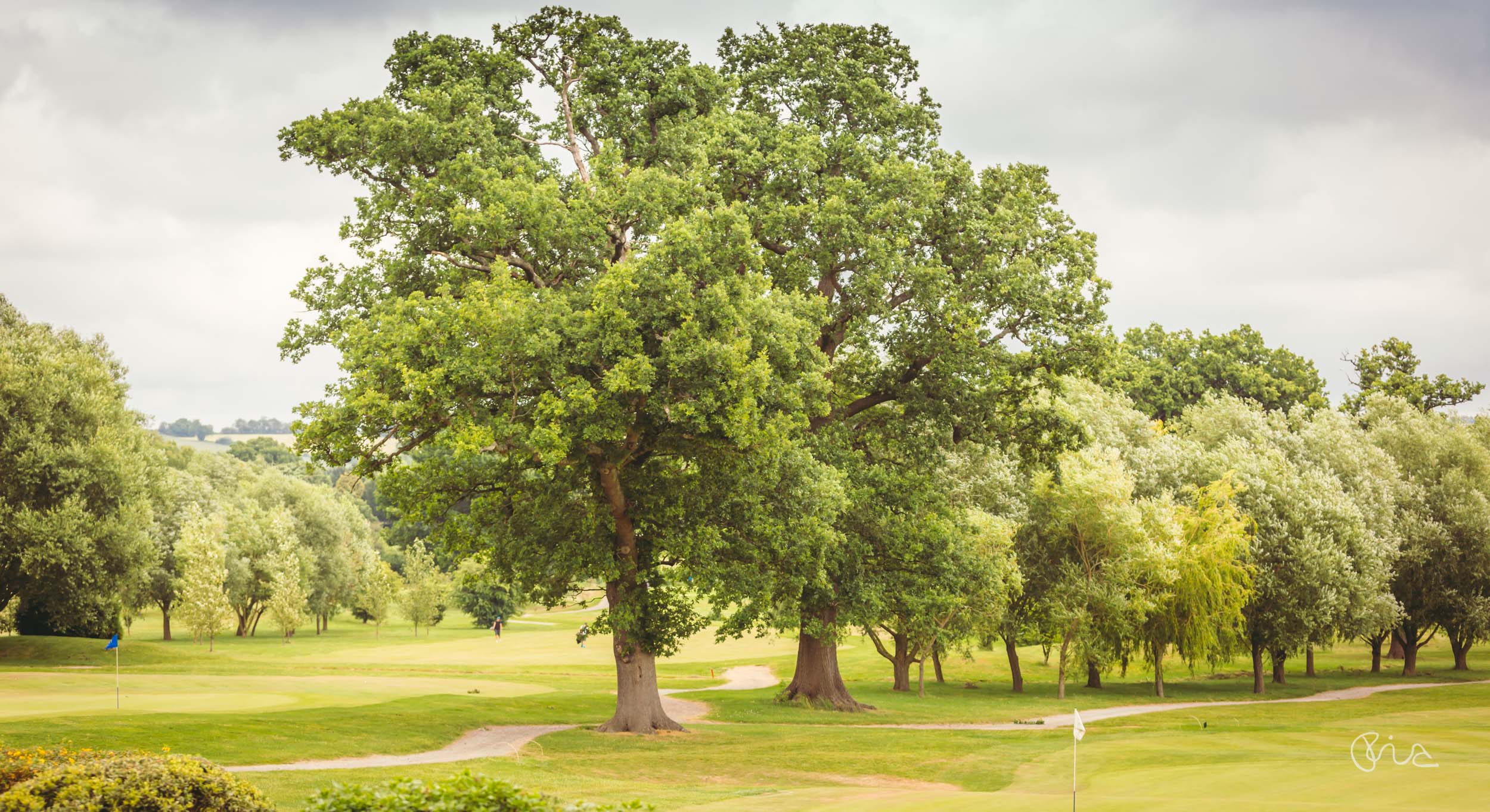 West Sussex wedding at Reigate Hill Golf Club