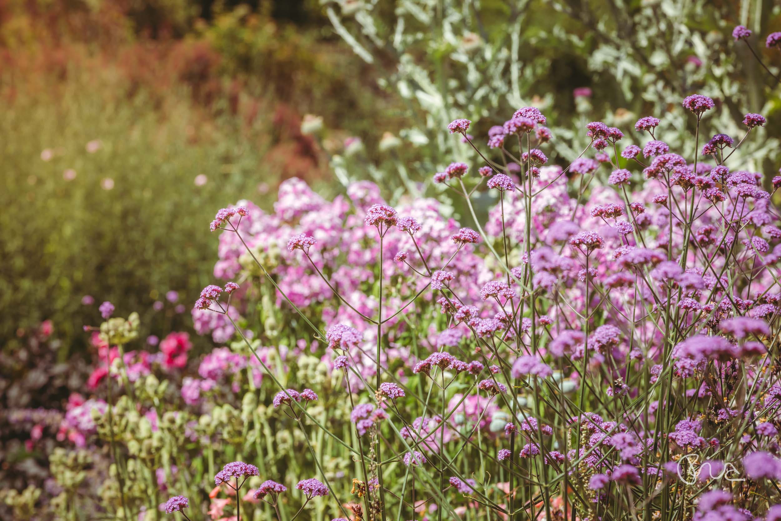 Wakehurst Mansion Gardens