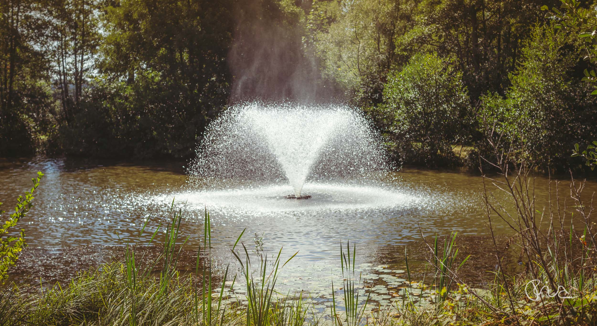 Ashdown Park Hotel wedding venue