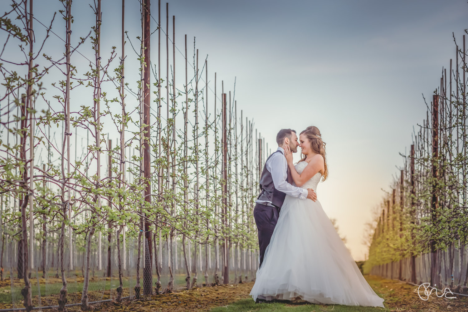 The Barnyard wedding in Kent