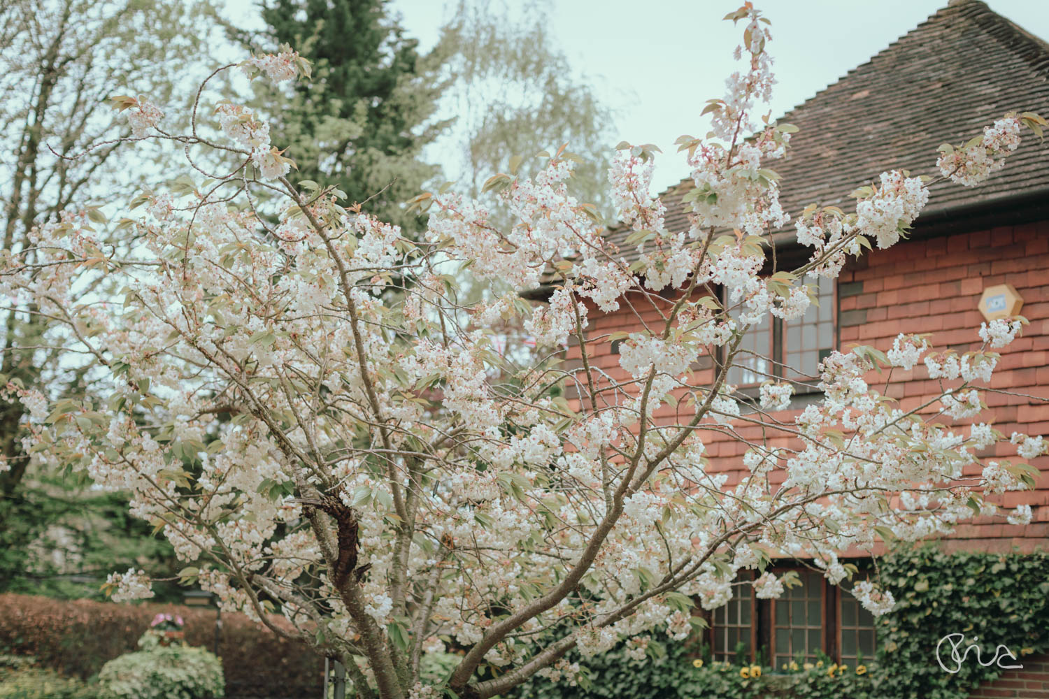 Kent wedging venue: the Barn in Tunbridge Wells